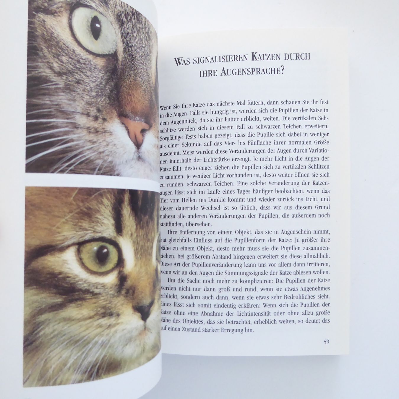 Bücher: Catwatching - Die Körpersprache der Katze – Gebraucht aus Basel von Kunterbunt12 4