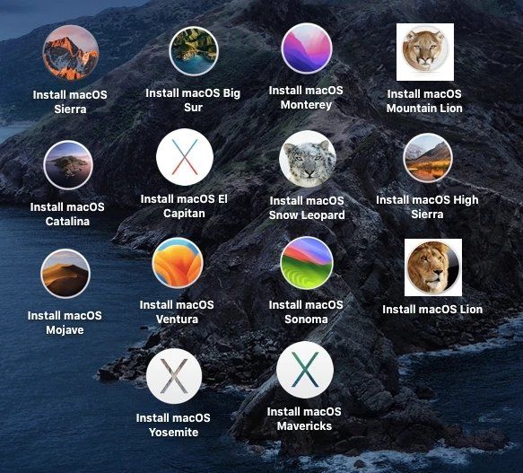 Apple Software: MacOS Installer 14-in-1 auf USB/ C type 128GB stick – Nuovo (secondo la descrizione) da Bellach venduto da jey2012