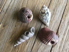 4 STÜCK ANHÄNGER  IN  MUSCHEL / SCHNECKENFORM  GESCHLIFFEN