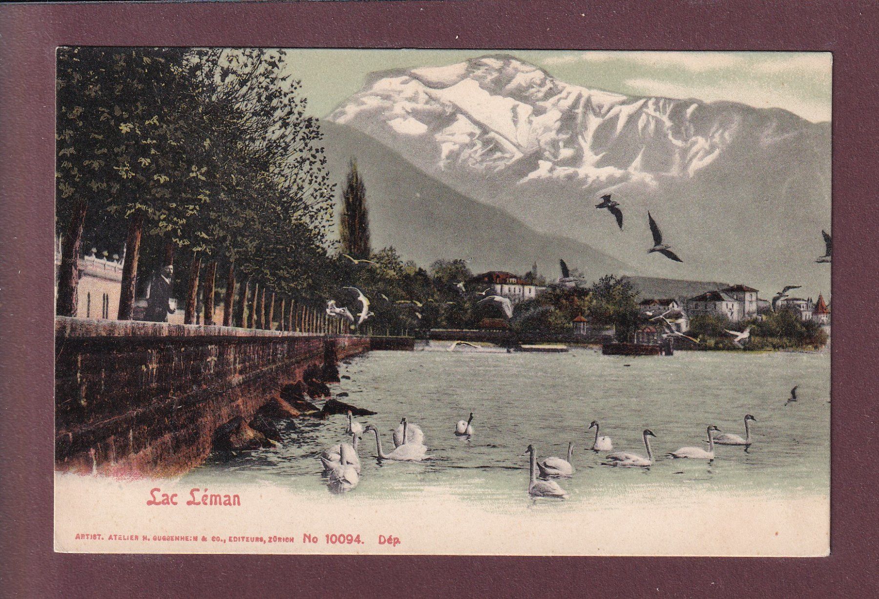 Cartes postales: Bords du LAC LEMAN – D'occasion à Pully par nicecards