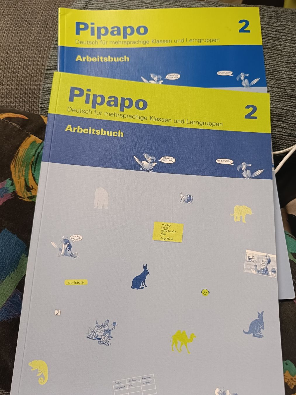 Libri: Pipapo 2 Arbeitsbuch – Usato da Hägendorf venduto da aga_mh97