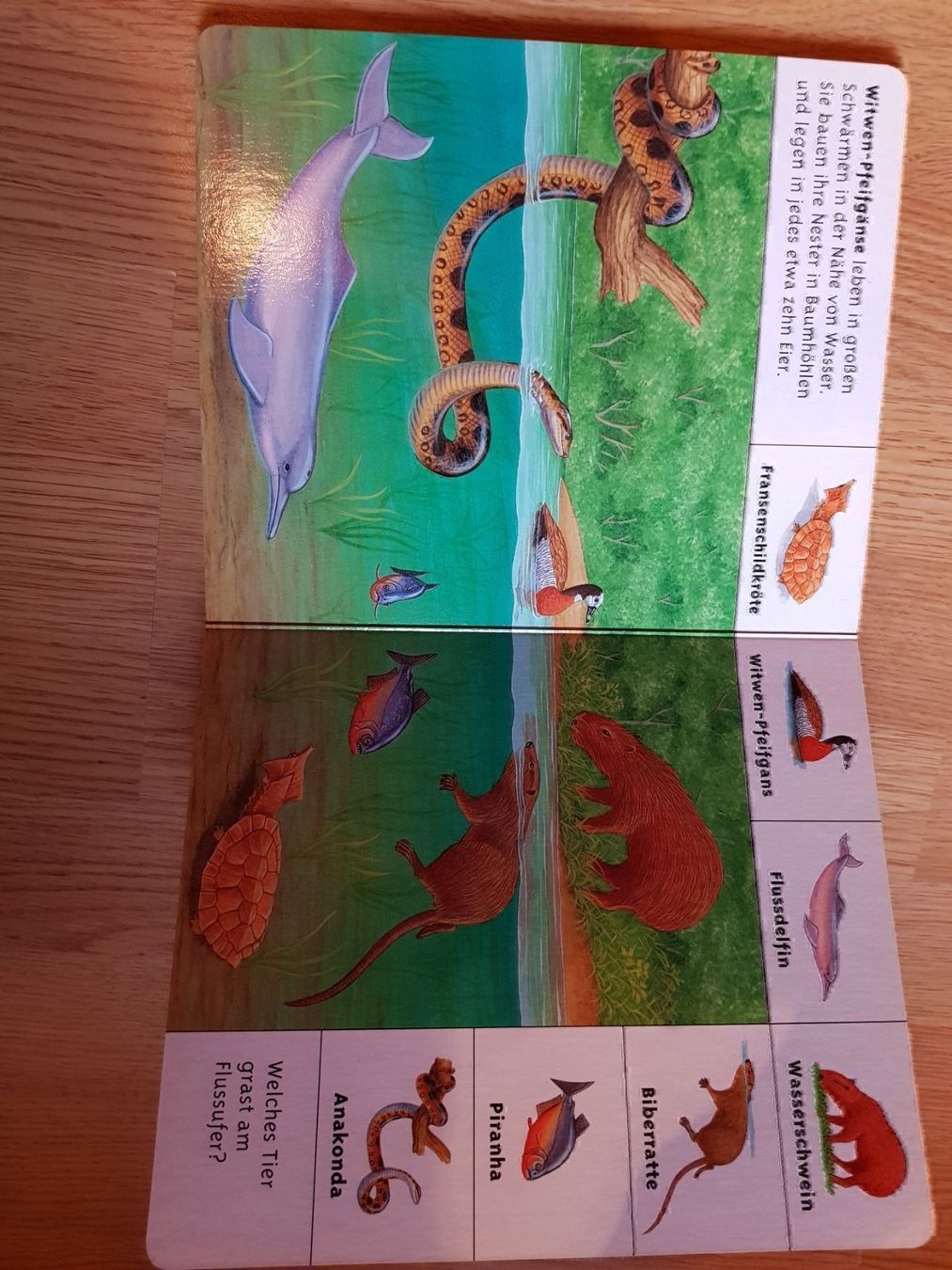 Libri: Buch Tiere aus Seen und Flüssen – Nuovo e nell'imballaggio originale da Schwarzenburg venduto da Flamingo07 2