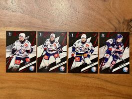 SportZoo Playoffs x/30 ZSC Lions
