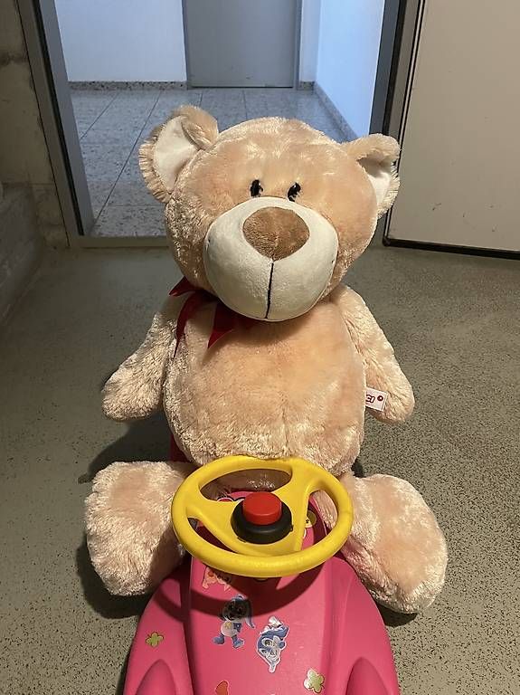 Giocattoli: Teddybär Nici gross - neu – Usato da Maschwanden venduto da Ddorf