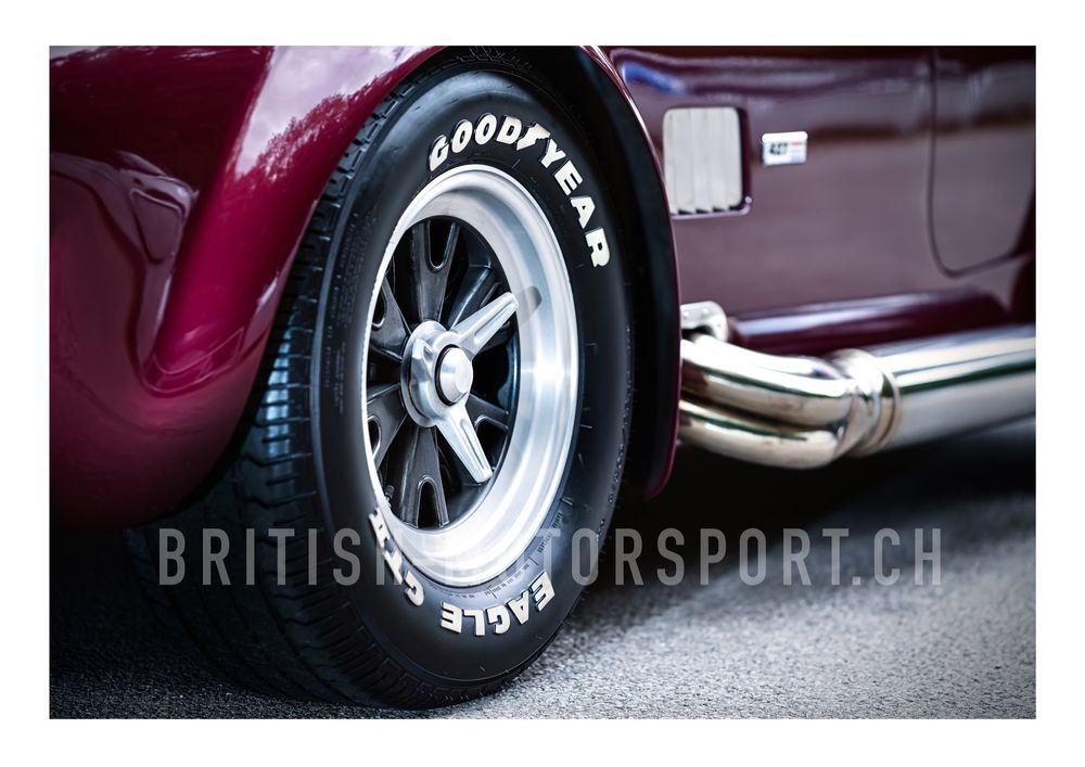 Shelby Cobra 427 50 Anteil incl Versicherung / Garantie Kaufen auf Ricardo