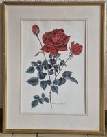 Kunstbild: Rose