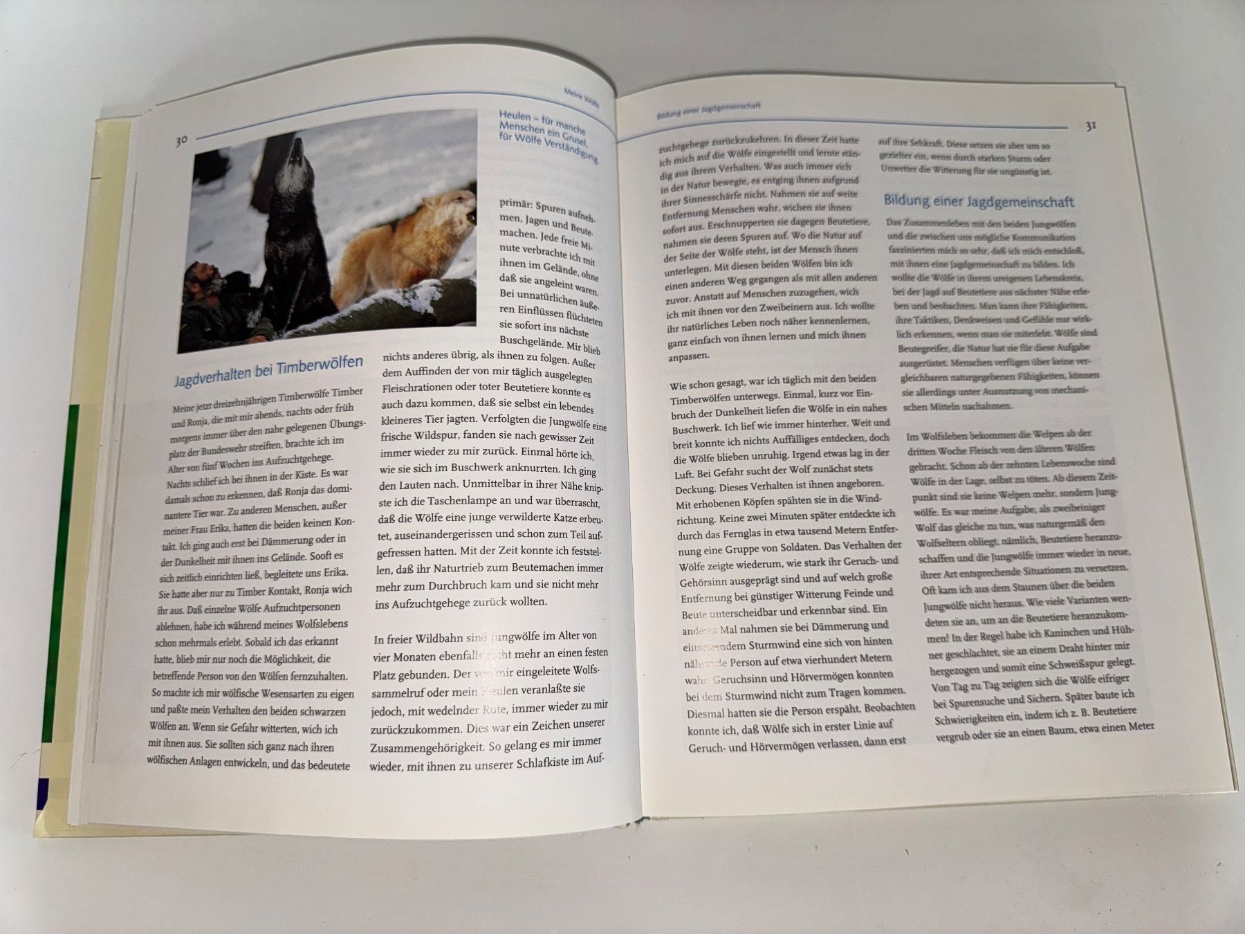 Libri: Buch: Wolf unter Wölfen, Werner Freund – Usato da Grosswangen venduto da Second_hand_paradise 3