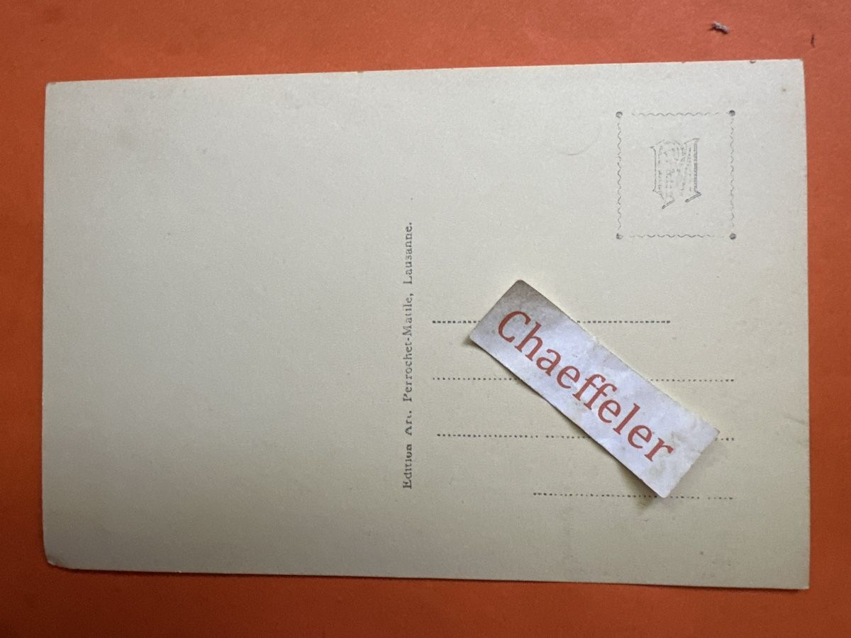 Cartoline postali: 9330 Panorama depuis Montana – Usato da Zürich venduto da Chaeffeler 1