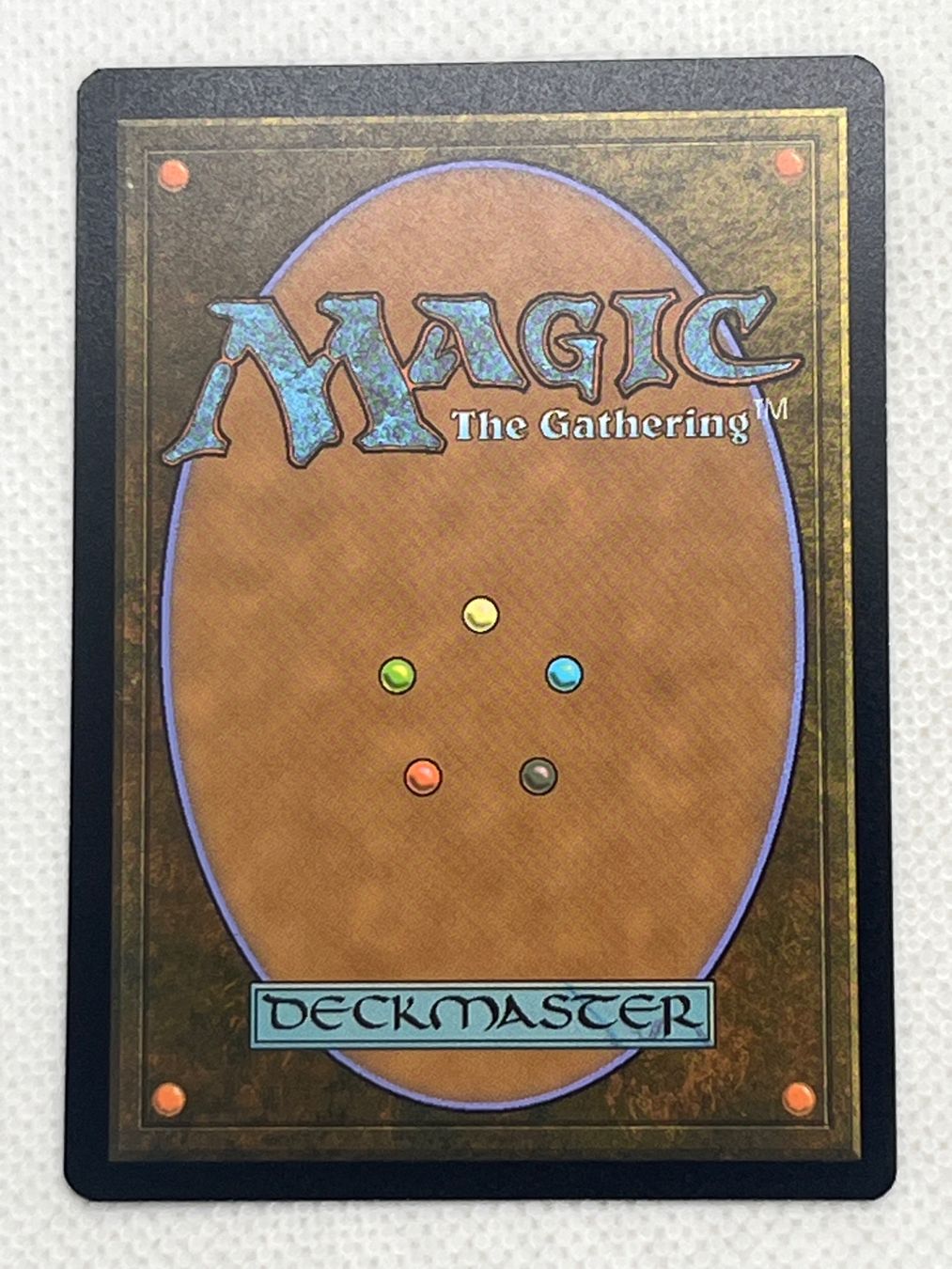 Magic The Gathering Sammelbilder & Trading cards: MTG Witch's Web VOW 227 Englisch Common – Gebraucht aus Hinterkappelen von Kim1992 1