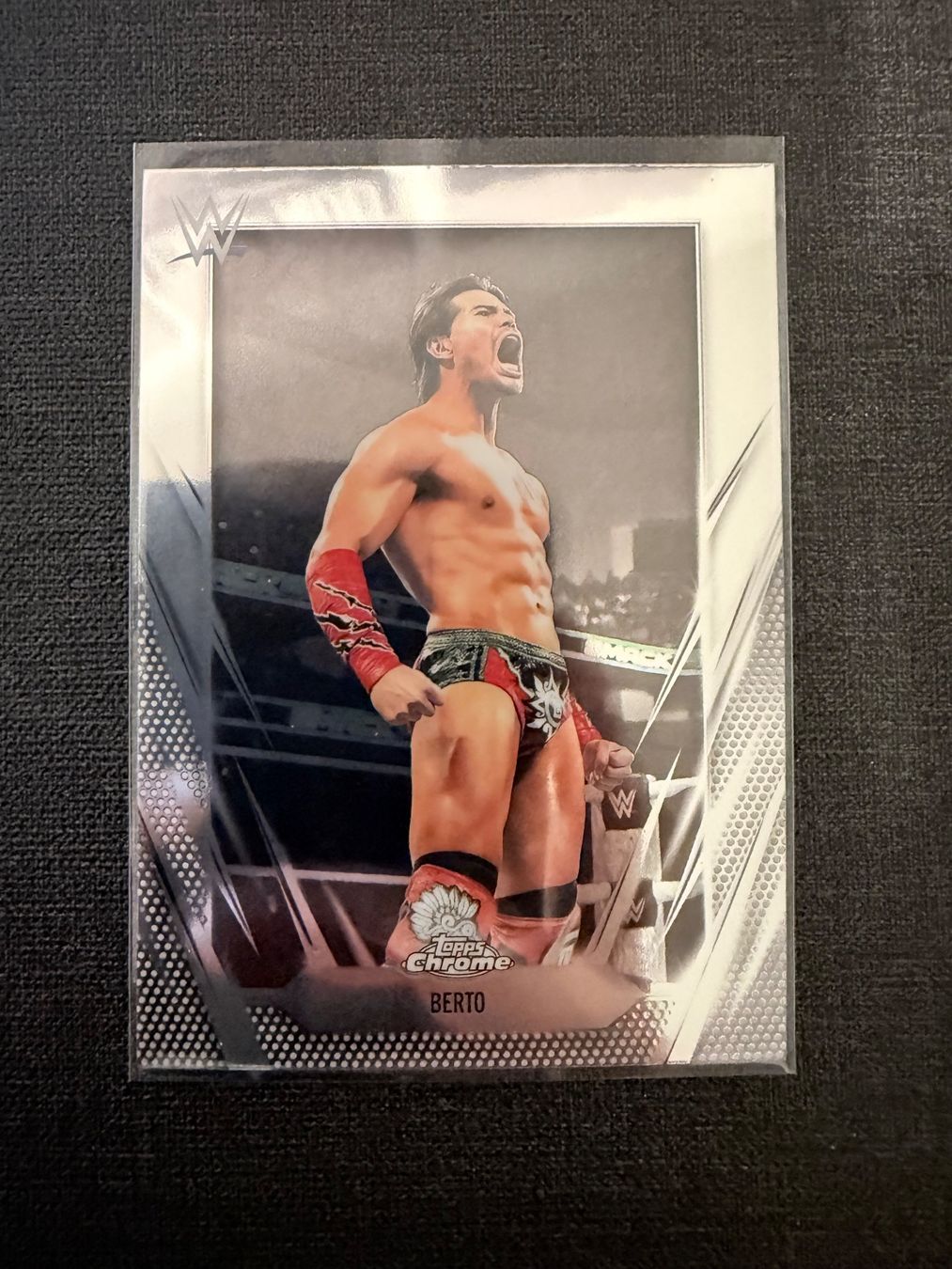 Topps Carte collezionabili: Topps Chrome Berto WWE Wrestling – Usato da Burgdorf venduto da Sports_Cards_3400