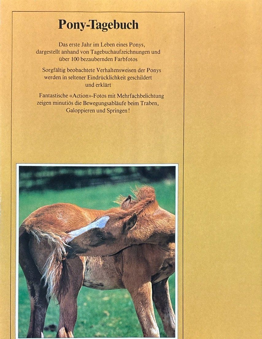 Libri: Pony Tagebuch – Nuovo (secondo la descrizione) da Sarnen venduto da Livres 1