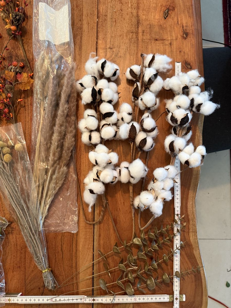 Tutte le decorazioni: Herbst- & Erntedank-Deko-Set – Neu  – Nuovo e nell'imballaggio originale da Muri AG venduto da Ludrigen 2