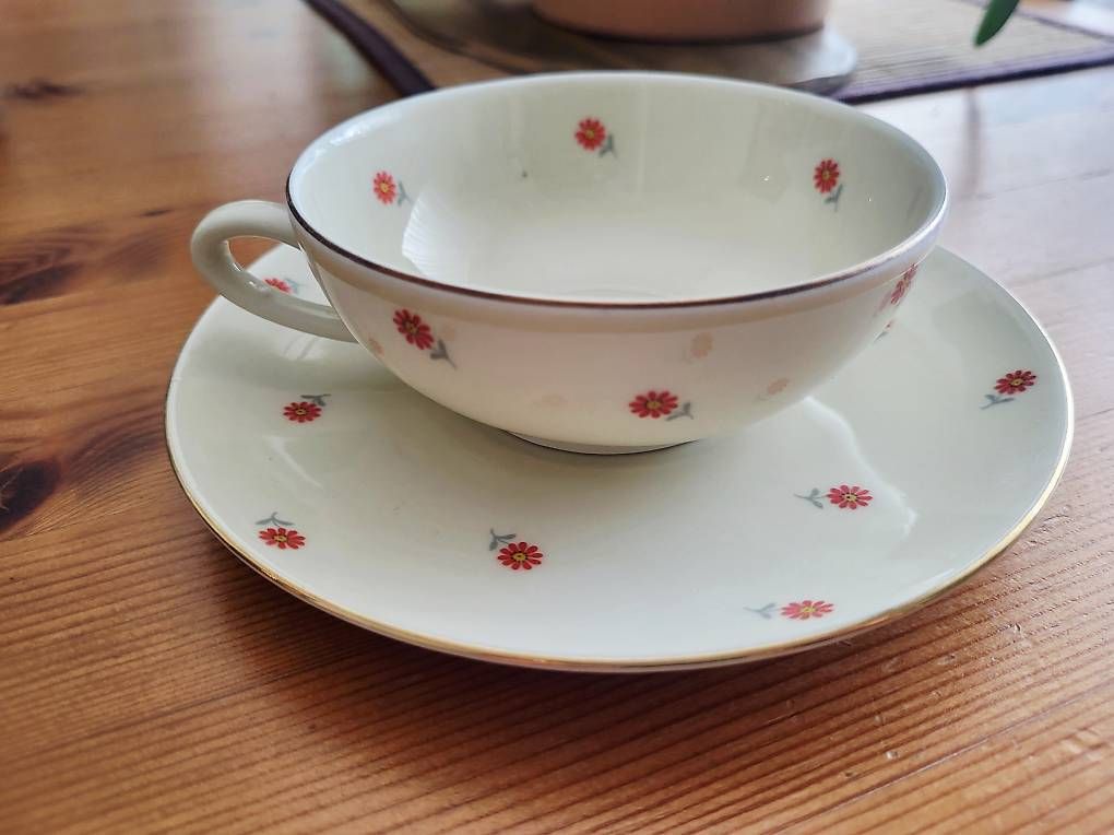 Set di piatti: Porzellan Teeset – Usato da Muenchenbuchsee venduto da nazzarina72 1