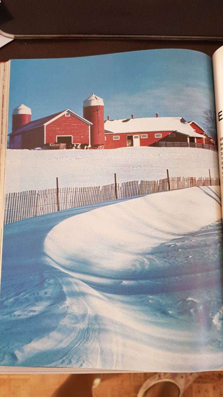 Libri: Die Reichtümer unserer Erde - 1972 – Usato da Spiegel b. Bern venduto da sus_xj97 2