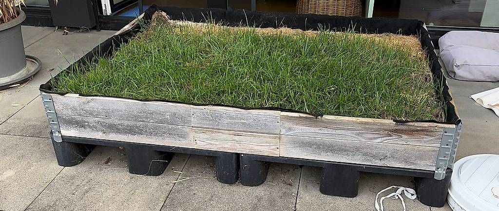 Pallets: Zwei Paletten aus Kunststoff – Usato da Inwil venduto da kel_df7w