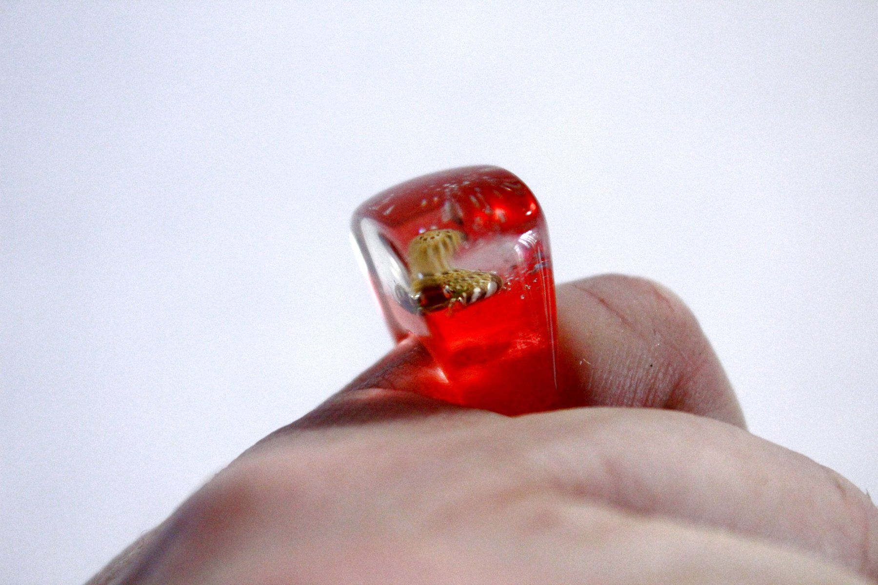 Ringe: Vintage Space-Age - Ring mit Muschel, Seestern, Seeigel, usw – Neu (gemäss Beschreibung) aus Bern von Vitaneuf 2