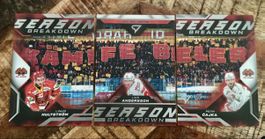 SportZoo Season Breakdown EHC Biel