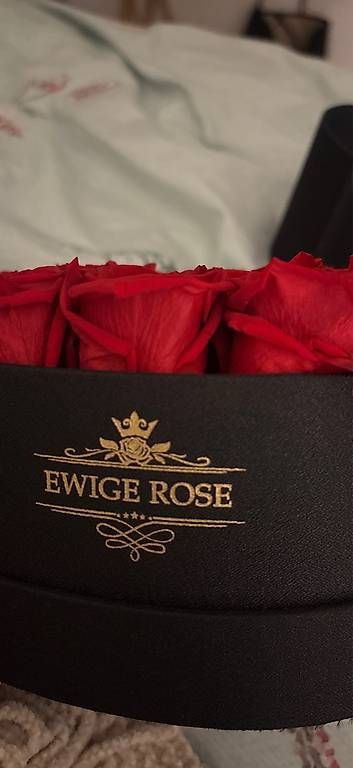 Alle Dekorationen: Ewige Rose  – Neu und originalverpackt aus Kloten von DianaH1990 1
