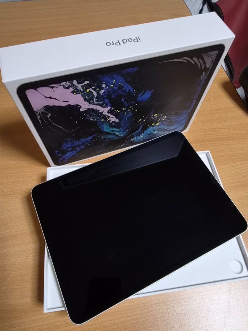 Apple Tablet PC: iPad Pro 11" 256GB silberfarben – Usato da Brunnen venduto da Fredlenzo