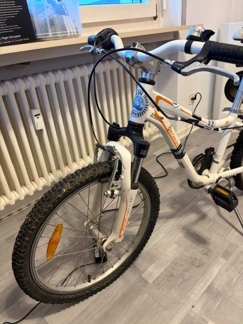 Specialized Biciclette: Specialized Mountainbike Jugend – Usato da Pfaffhausen venduto da salesswiss