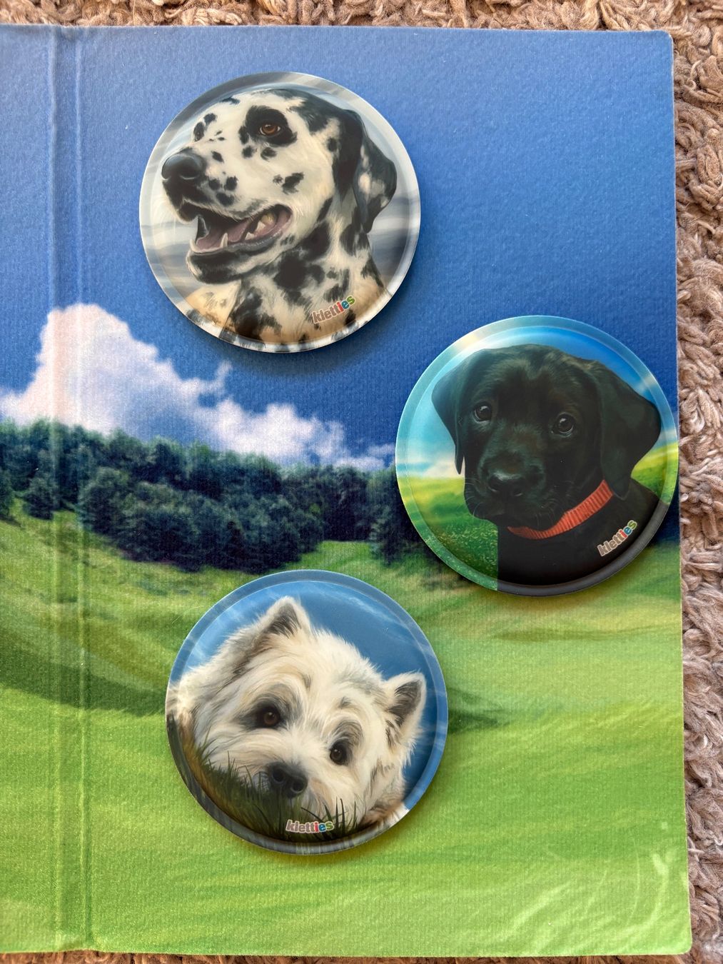 Plaquettes & Badges: 3 Hunde Kletties – D'occasion à Aarau par stellabianca