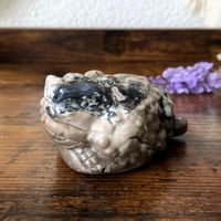 ✲ Vulkan Achat Money Toad ✲ 240g / 85mm Geldfrosch Kröte