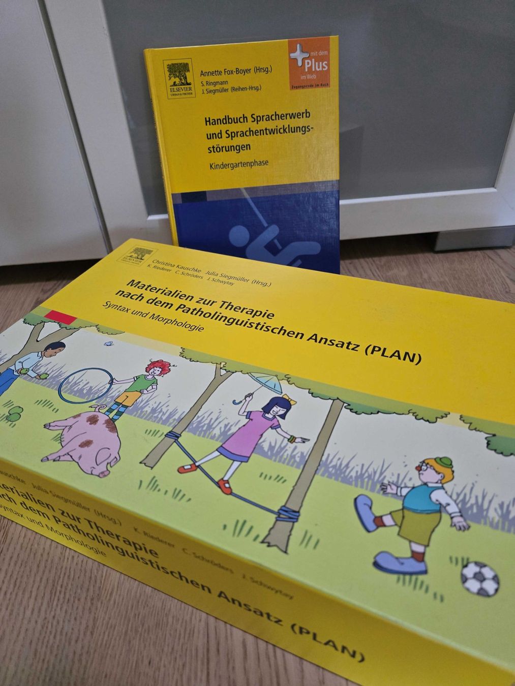Giochi: PLAN Materialien zur Therapie, Syntax, Morphologie, Top! ... – Nuovo e nell'imballaggio originale da Jona venduto da Cinnestig 1