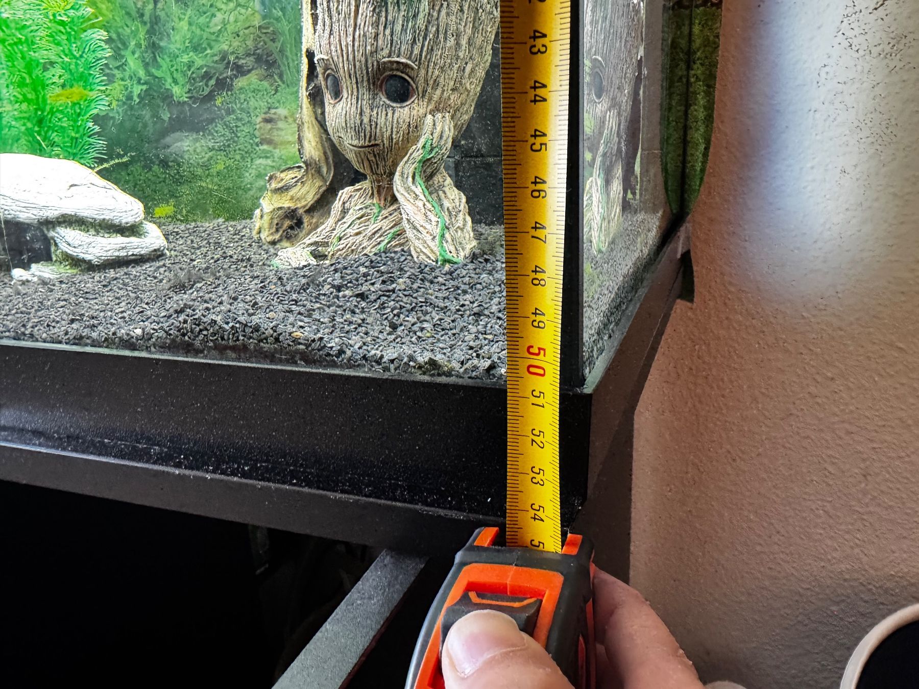 Acquari: Aquarium eau douce – Usato da Lausanne venduto da gre_97wx 7