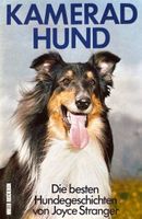 Kamerad Hund - Hundegeschichten