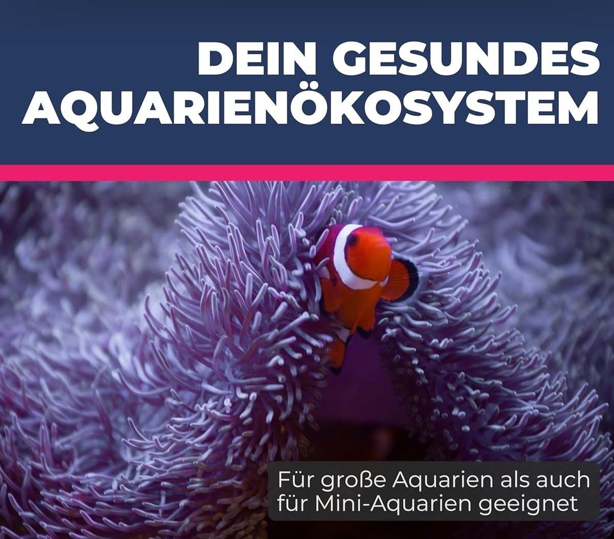 Filter: Multireaktorfilter – Gebraucht aus Embrach von squarely 4