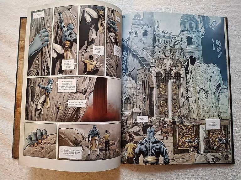 Comics: BD - Vachey - 2 tomes – Gebraucht aus Prez-vers-Siviriez von rouilj05 2