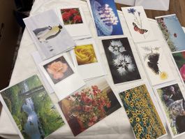 Diverse Postkarten Sammlung, Sommerliche Motive, Top! (50)