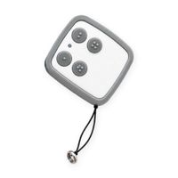 Télécommande multifréquence - LE-005 - Gris