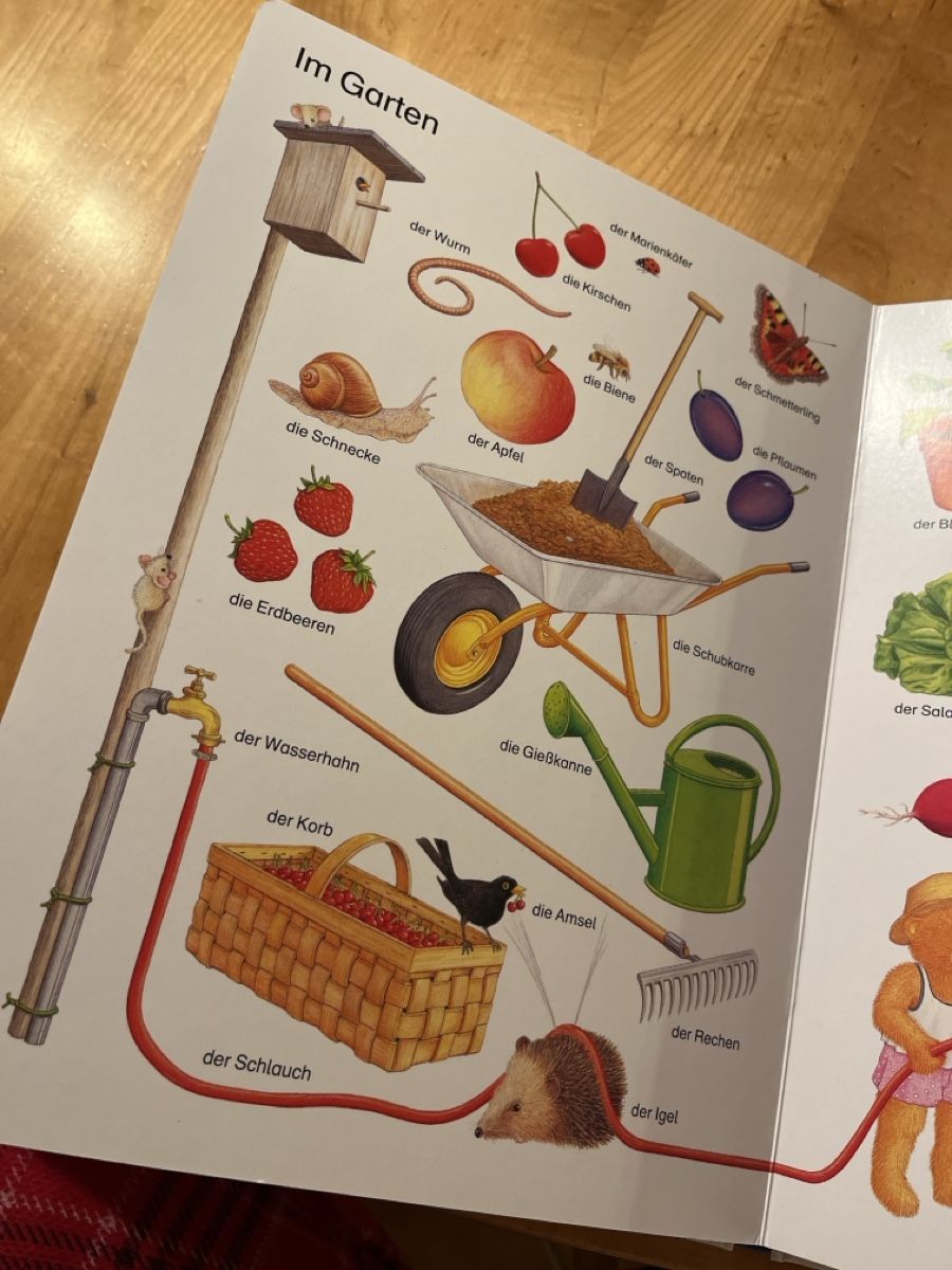 Libri: Erste Bilder erste Wörter – Usato da Rodersdorf venduto da estherdaphne 2