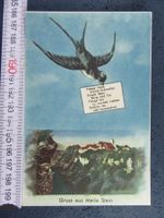 MARIASTEIN 1953 SCHWALBE MIT BRIEF SO AK