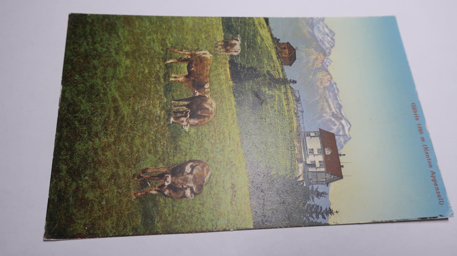 Cartoline postali: Gäbris ( Kanton Appenzell ) – Usato da Cormoret venduto da Pascalll2001 1