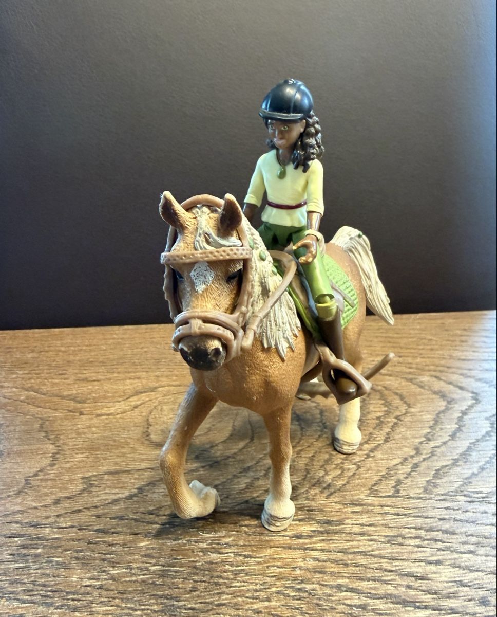Schleich Spielzeuge: Schleich Sarah & Mystery – Gebraucht aus Auw von grisu81