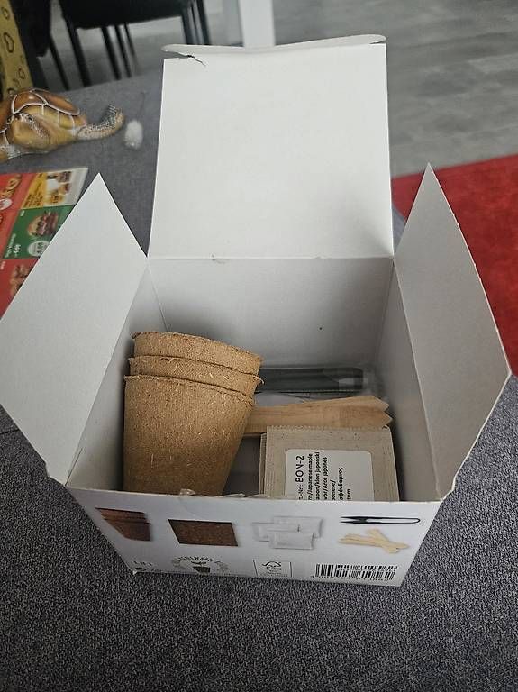 Libri: Kit coltivazione Bonsai – Usato da Bellinzona venduto da cat_fnx5 1
