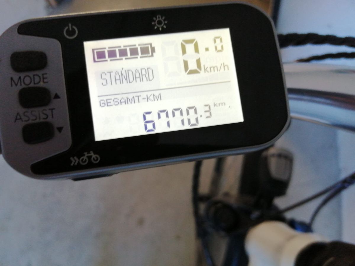 Flyer Biciclette: Flyer e-Bike 36V – Usato da Detligen venduto da sbk_6qj6 2