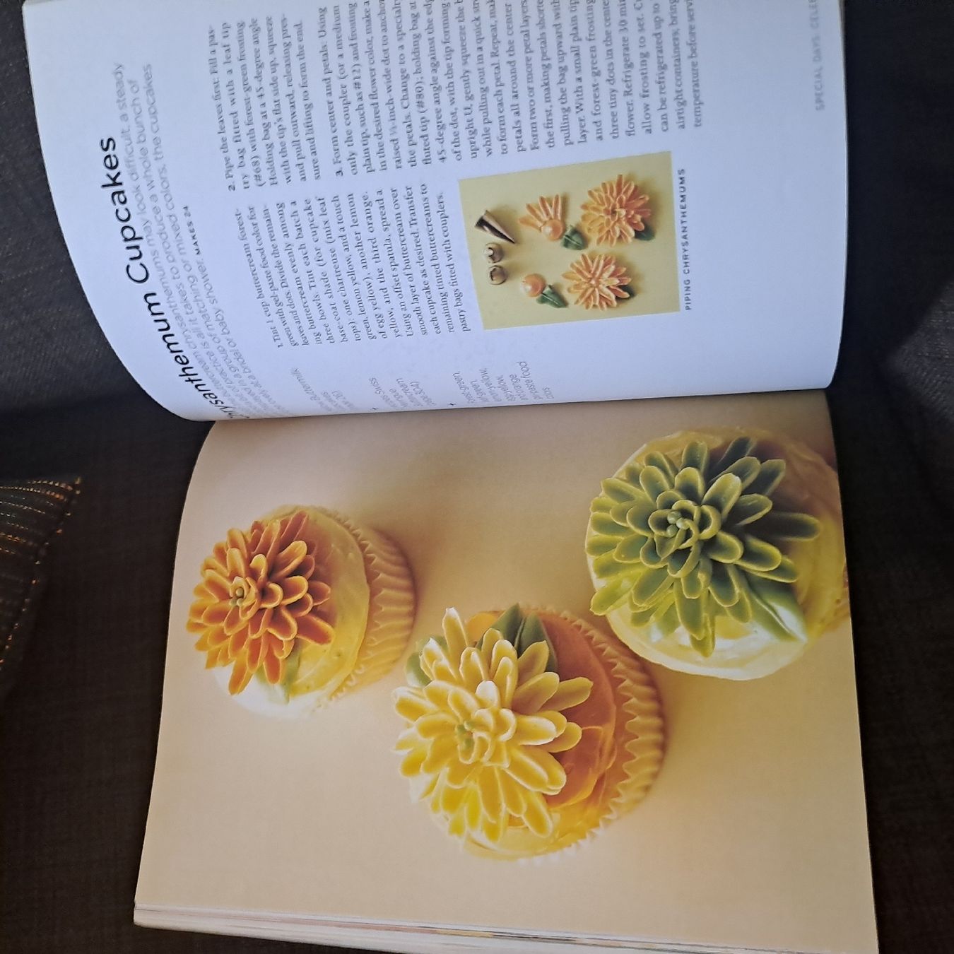 Libri: Cupcakes by Martha Stewart's – Usato da Oberengstringen venduto da ger_v5h5 5
