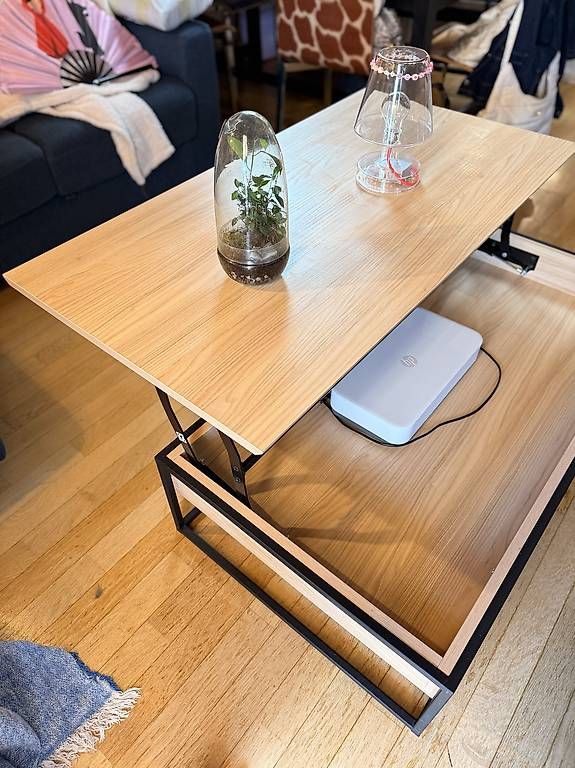 Tables: Table basse rectangulaire avec coffre – D'occasion à Cartigny par reb_prf8 1