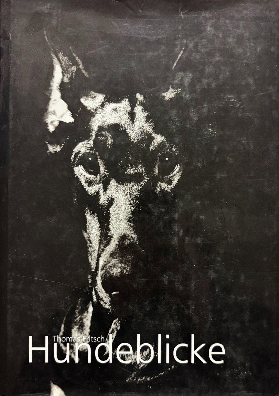 Bücher: Hundeblicke – Gebraucht aus Sarnen von Livres
