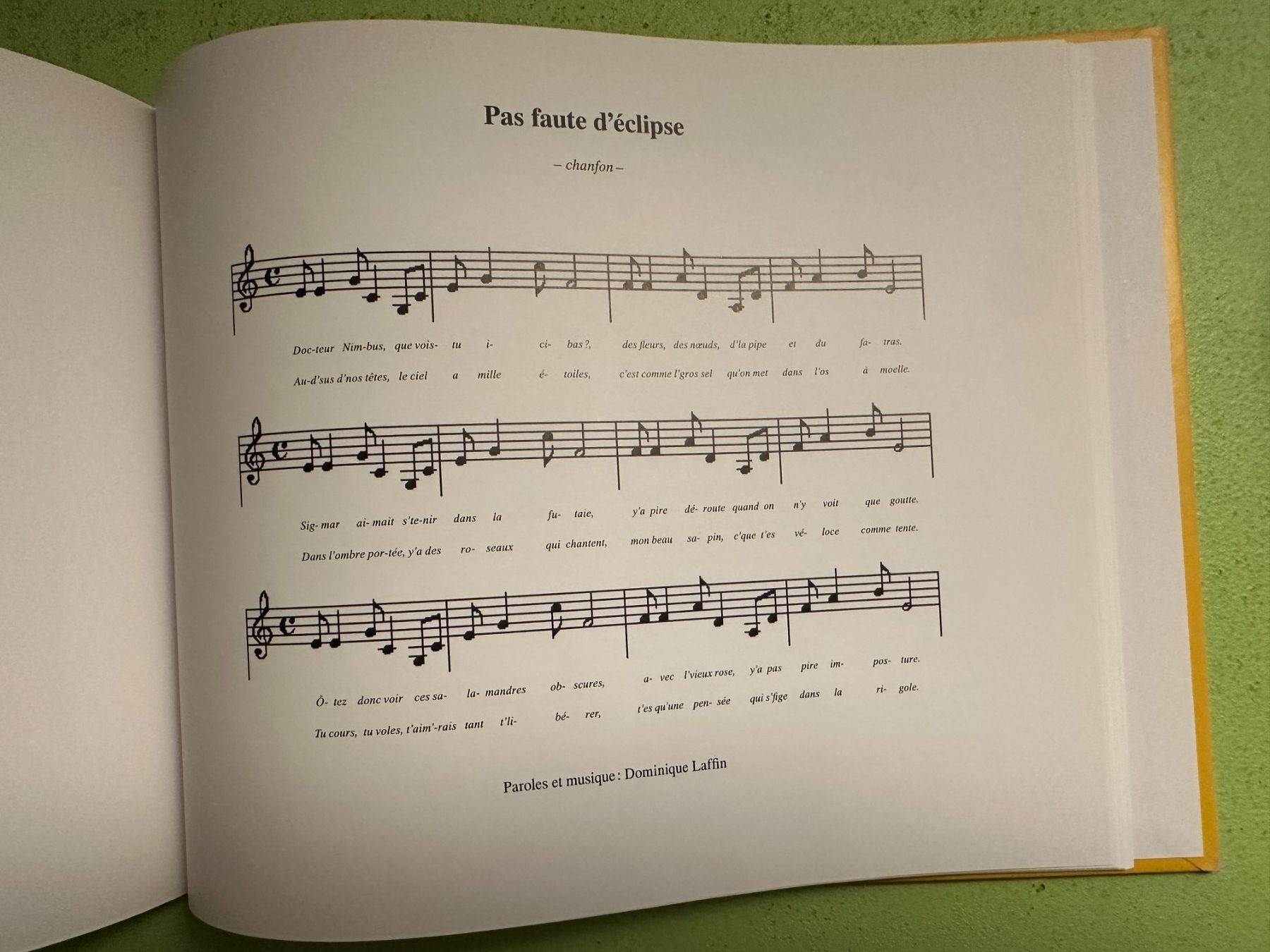 Libri: Sylvie Fanchon. Texte: Vincent Pécoil. – Usato da Zürich venduto da allp 7