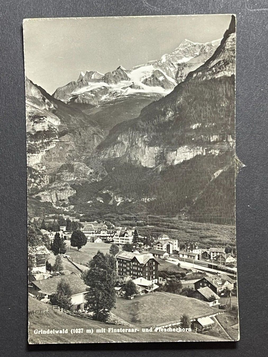 Cartoline postali: Grindelwald – Usato da Steg VS venduto da _vinci_
