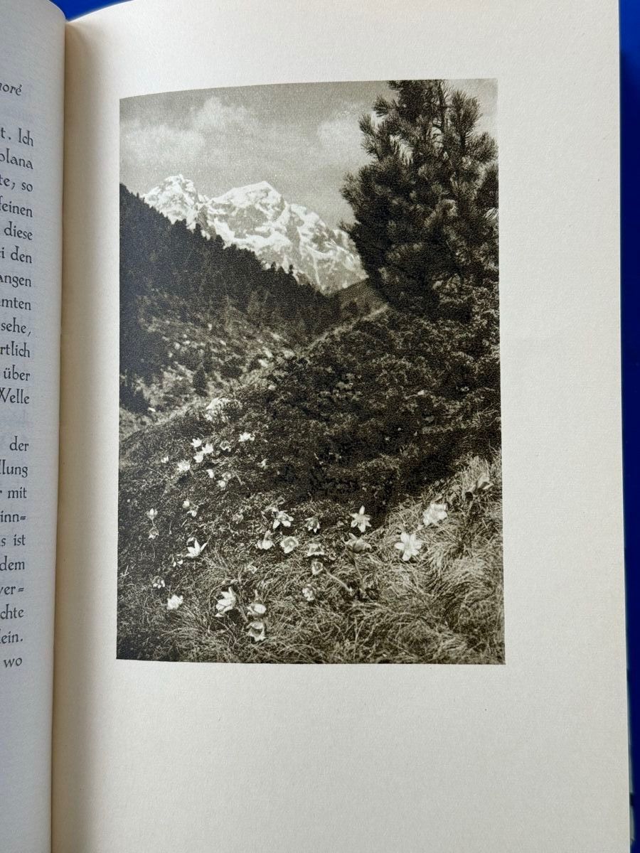 Libri: Aus dem Engadin : Briefe zum Frohmachen. – Usato da Adliswil venduto da buch_und_kunst 3