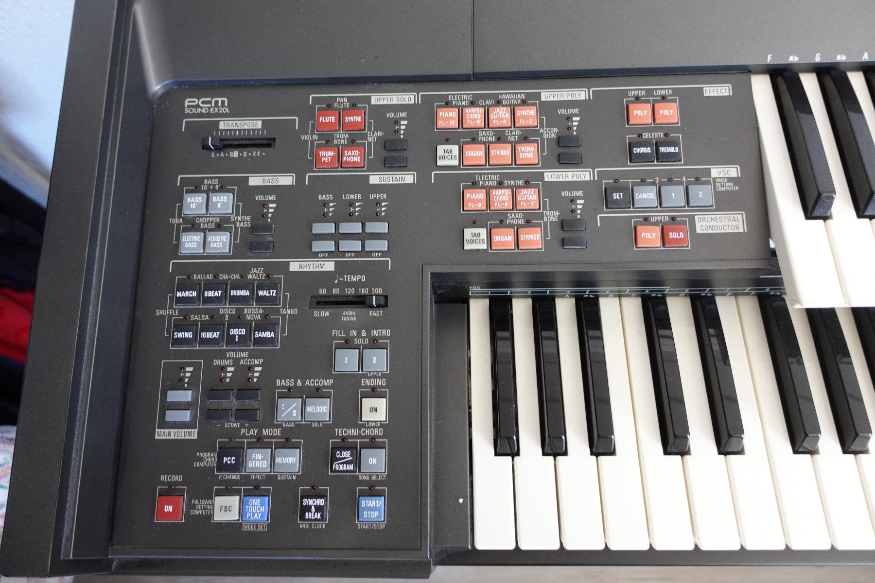Technics Strumenti musicali: 1 Elektrische Orgel Marke Technics – Usato da rorschach venduto da Babsi64 1