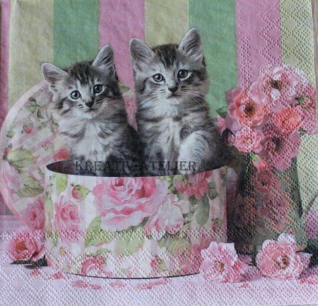 Servietten: Serviette cats in box (1130) 3Stk. – Neu (gemäss Beschreibung) aus Schlatt TG von kreativ-atelier