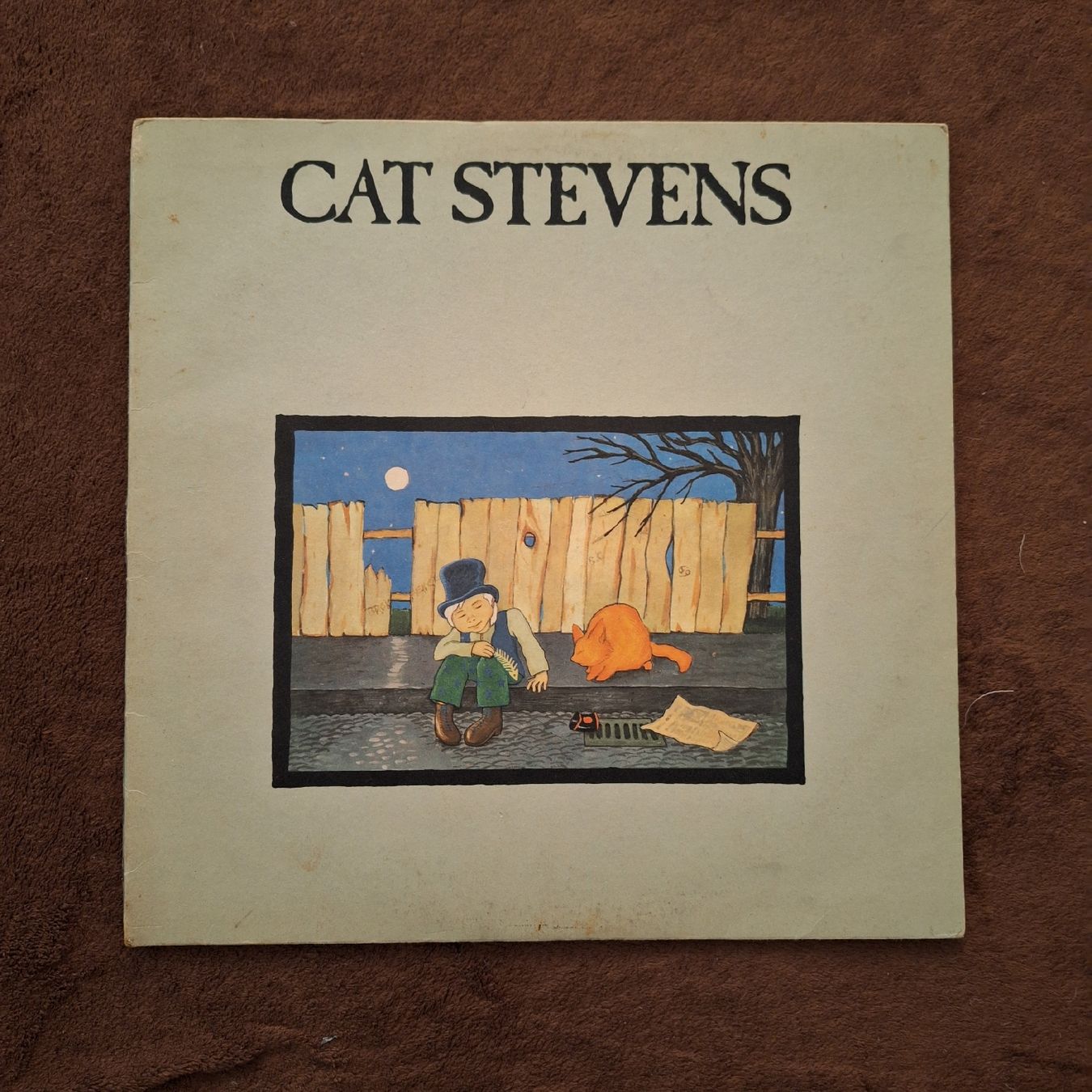 Dischi in vinile: Schallplatte. Cat Stevens. Teaser and the Firecat – Usato da Winterthur venduto da Goldpipau