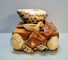 Schmuckschatulle aus Holz