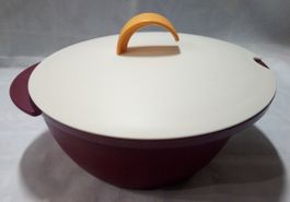 TUPPERWARE Insulated Server - Duo Plat de Service